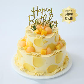 【仲夏蜜语冰淇淋蛋糕】6+4英寸双层冰淇淋蛋糕，甄选伊利牧场生牛乳冰淇淋，醇香奶味融合沁甜果味，冰淇淋巨绵密爆香浓，炎炎夏日一起吃冰（中山）