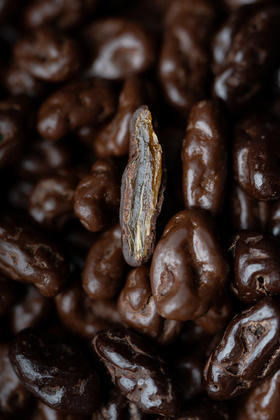 ISOCHOC/葡萄干/巧克力豆