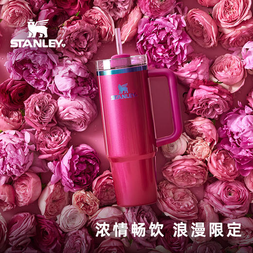 Stanley 探险系列H2.0 吸管杯887ml 深巧莓果 商品图5