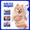 活力泰养护功能罐犬猫咪绝育术后恢复康复猫狗通用营养免疫湿粮罐头 商品缩略图1