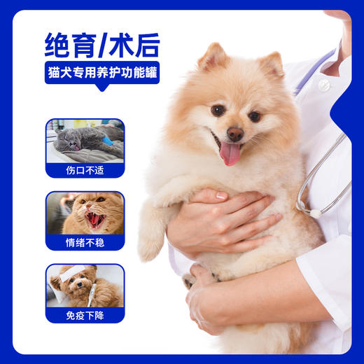 活力泰养护功能罐犬猫咪绝育术后恢复康复猫狗通用营养免疫湿粮罐头 商品图1