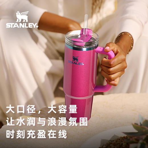 Stanley 探险系列H2.0 吸管杯887ml 深巧莓果 商品图4