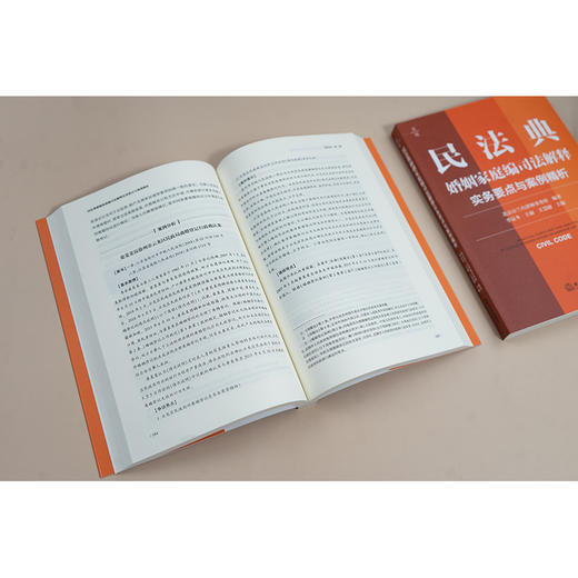 民法典婚姻家庭编司法解释实务要点与案例精析 北京市兰台律师事务所编著 李显冬 王丽 王慧婕主编 法律出版社 商品图5