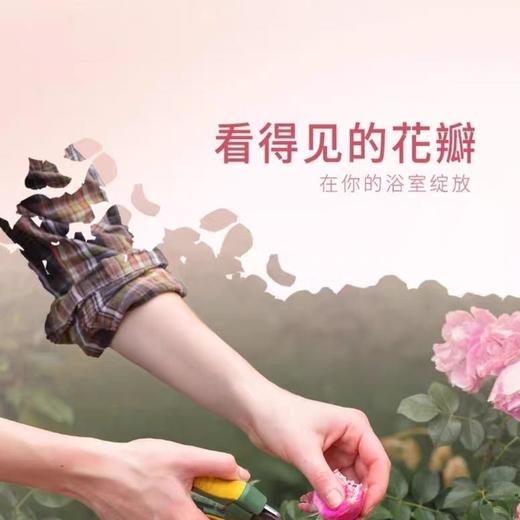 【新品】威露士菁华at花瓣沐浴露液500ml香水玫瑰茉莉持久留香烟酰胺效期28年 商品图1