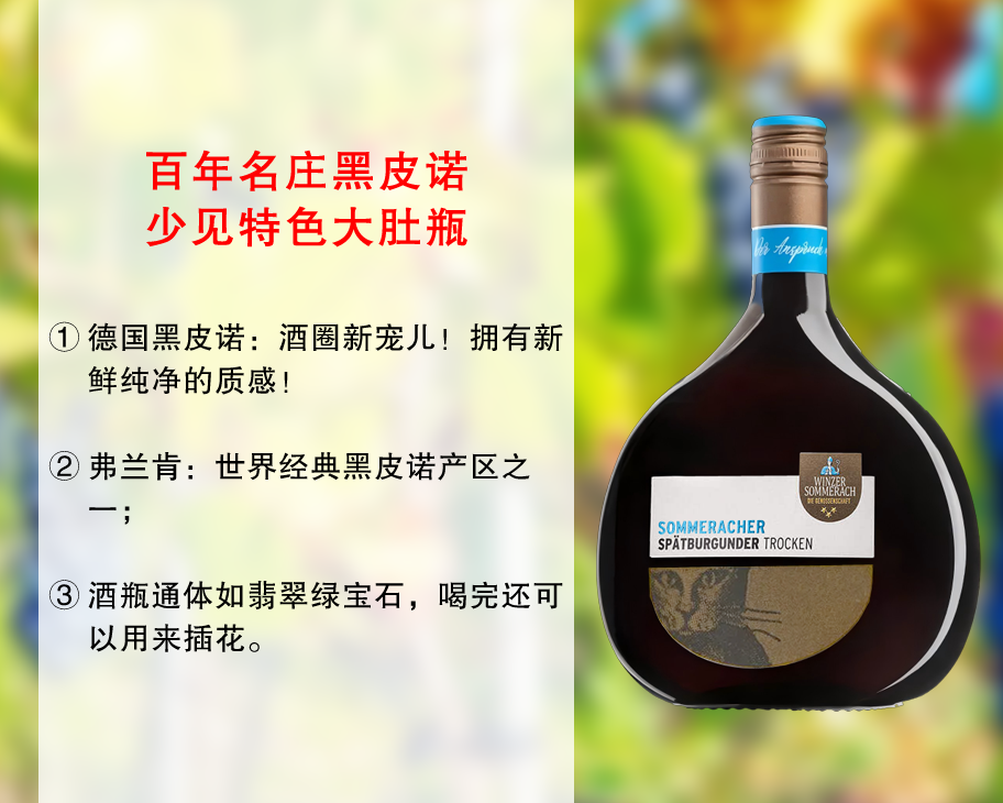 【尾货9瓶，整箱更优惠】特色大肚瓶｜德国百年老牌名庄：索玛酒庄猫头珍藏黑皮诺干红（2023年）
