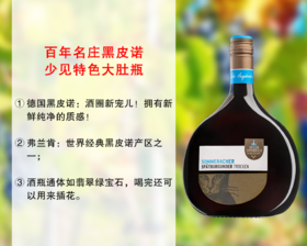 【尾货9瓶，整箱更优惠】特色大肚瓶｜德国百年老牌名庄：索玛酒庄猫头珍藏黑皮诺干红（2023年）