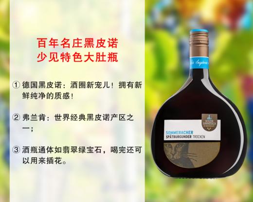 【尾货9瓶，整箱更优惠】特色大肚瓶｜德国百年老牌名庄：索玛酒庄猫头珍藏黑皮诺干红（2023年） 商品图0