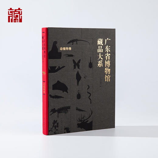 【书籍】广东省博物馆藏品大系 动植物卷 商品图1
