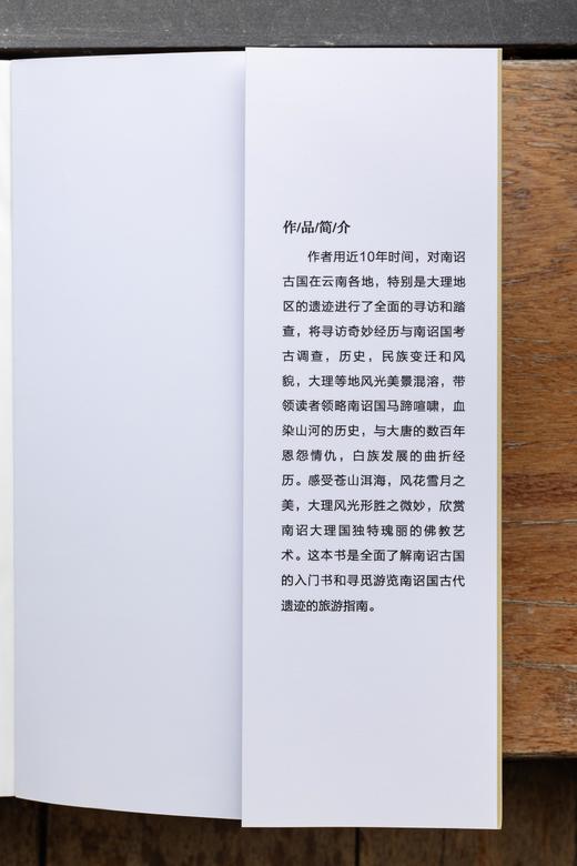【艺起读书】寻迹古国南诏 韩铁如著 商品图4
