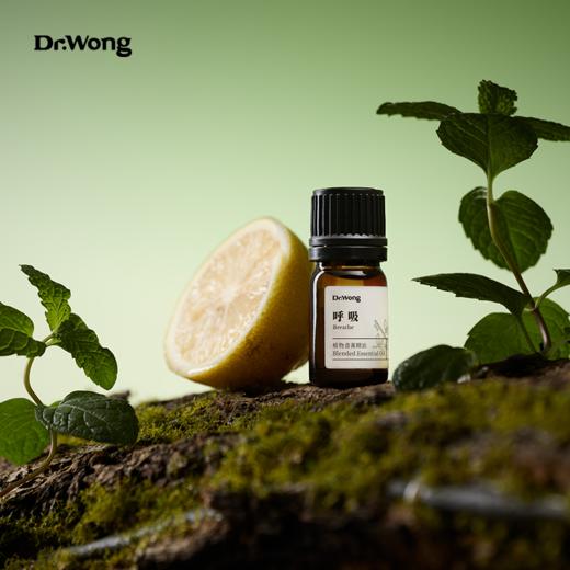 「呼吸」植物香薰精油 商品图4