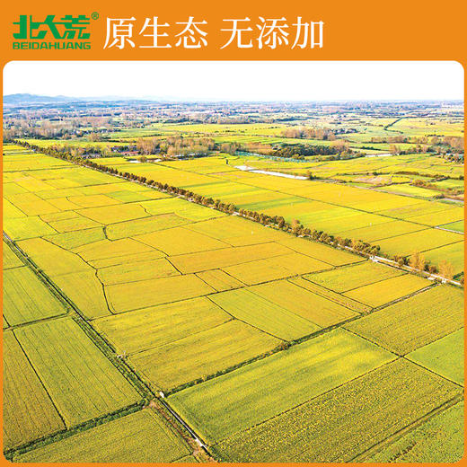 【中国农垦】北大荒清香丝苗米5KG 商品图1