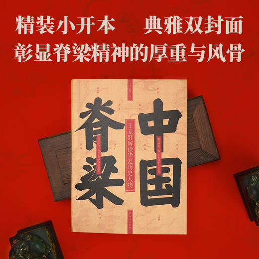 中国脊梁:王立群解读华夏历史人物 商品图4