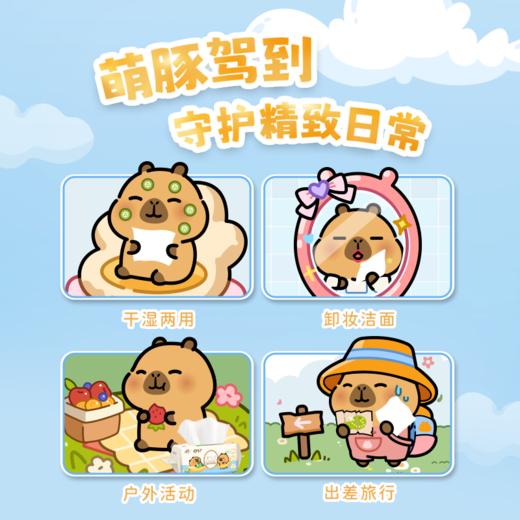 【官方自营】清风净润肌洗脸巾80抽3包卡皮巴拉小黄豚联名款 商品图6