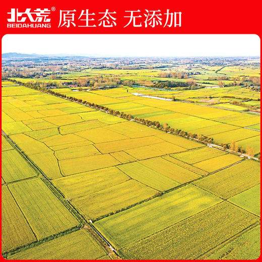 【中国农垦】北大荒东北长粒香5kg 商品图1