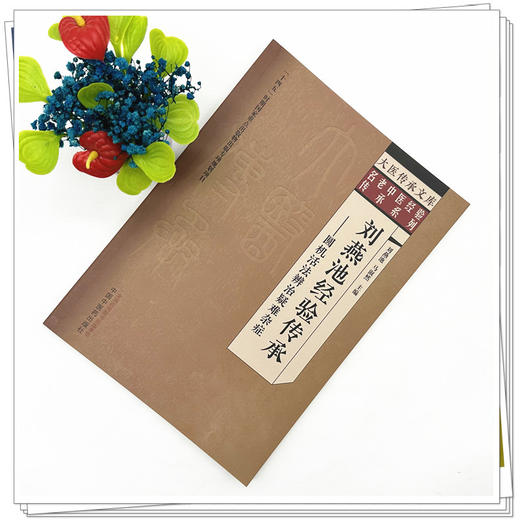 刘燕池经验传承:圆机活法辨治疑难杂症 刘燕池 马淑然 主编 中国中医药出版社 大医传承文库. 名老中医经验传承系列 商品图1