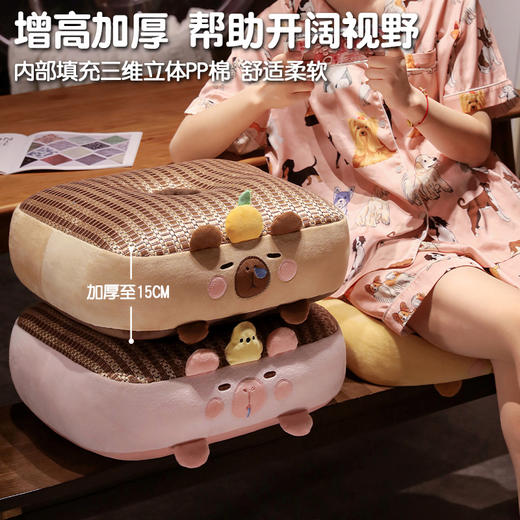 自然醒卡皮巴拉冰藤蒲团坐垫夏季学生教室板凳屁垫藤席垫汽车椅垫QYL 商品图3