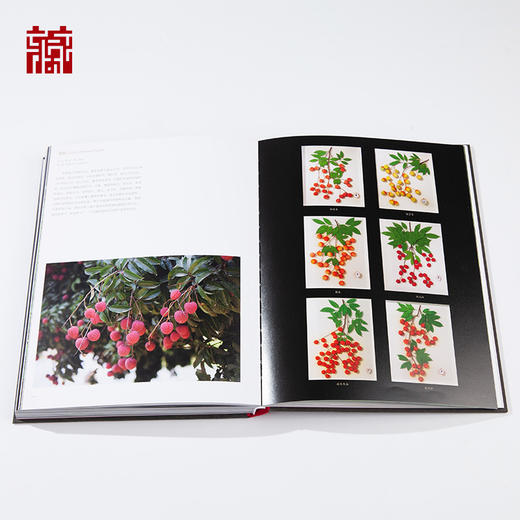 【书籍】广东省博物馆藏品大系 动植物卷 商品图3