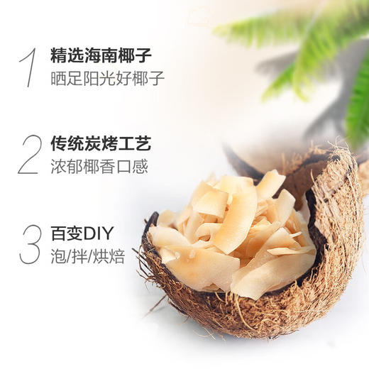 【南国椰子片】 非油炸非高温熬煮 香脆可口椰香四溢 商品图6
