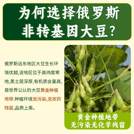 【远东非转基因大豆 冷压榨工艺 六脱工艺提纯】俄罗斯进口非转基因笨榨大豆油5L 商品图4