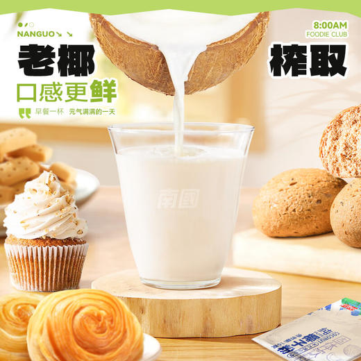 【南国纯椰子粉】 低温研磨工艺 保留椰子风味与营养 不添加蔗糖与香精 商品图2