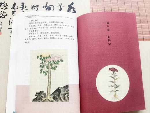 （随书赠八段锦导图）《写给中国人的国医三书》（全3册）| 养身界的学霸笔记，读得懂的中医入门 商品图4