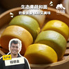 生态缤纷果蔬牛奶小馒头 (方野厨房) | 绿家自产 *Ecological Colorful Mantou| In-House Production 商品缩略图0