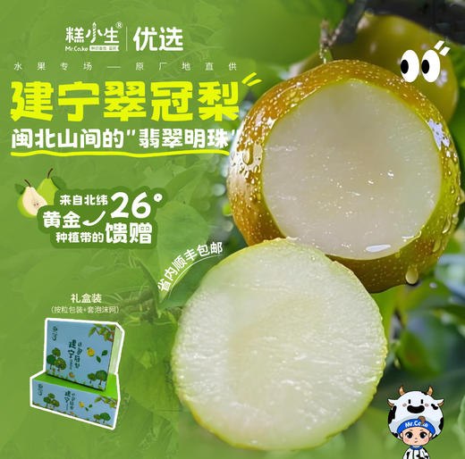 水果优选-建宁翠冠梨，来自闽北山间的翡翠明珠，脆嫩多汁鲜甜爽口 商品图0