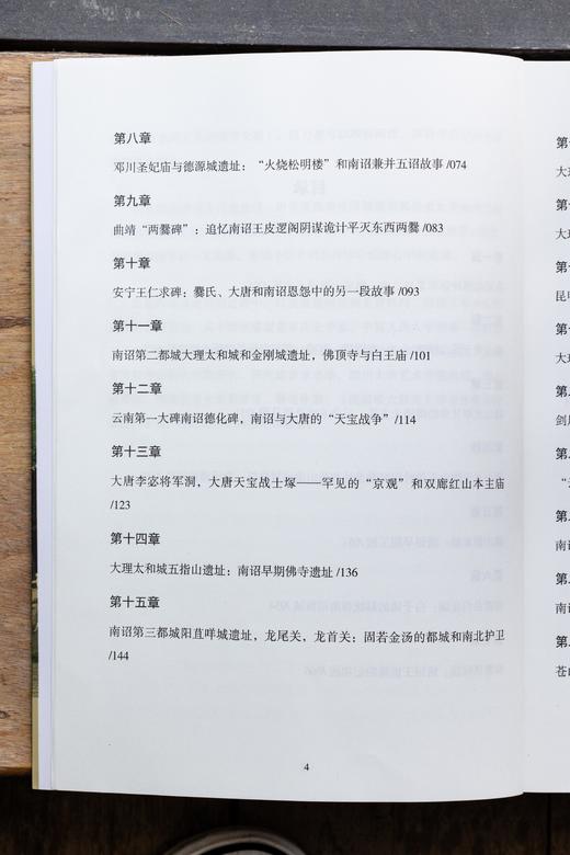 【艺起读书】寻迹古国南诏 韩铁如著 商品图8