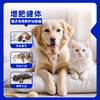 活力泰养护功能罐犬猫咪绝育术后恢复康复猫狗通用营养免疫湿粮罐头 商品缩略图3