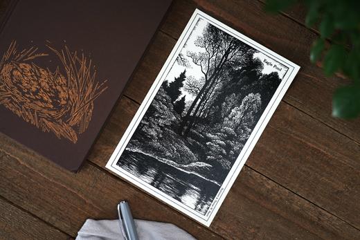 【版画版】鹰塘 自然文学的永恒经典 桂冠诗人 唐纳德·霍尔辞去教职归乡生活 借诗人之眼感受四季 归隐田园的故事 商品图4