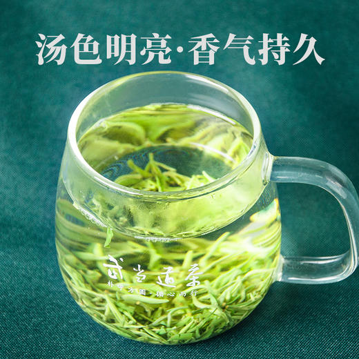 武当道茶-四季(绿茶)【产地直发】 商品图3