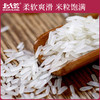 【中国农垦】北大荒玉晶香米5kg 商品缩略图3