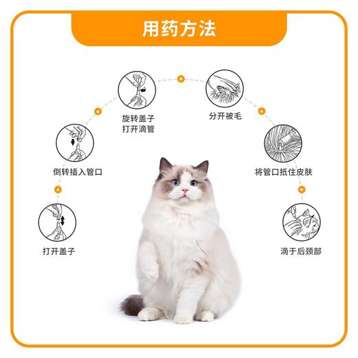 【临期猫狗药品】拜宠清狗驱/爱沃克猫驱/犬心保狗驱/（不参与满赠） 商品图1