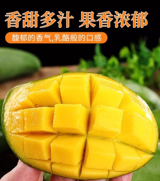 广西桂七芒果10斤礼盒装（净重9斤14-16个单果300克+） 商品图3