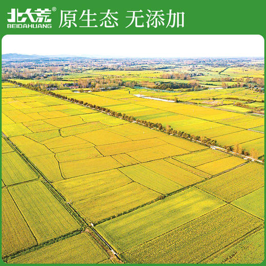 【中国农垦】北大荒优质东北米2.5kg 商品图2
