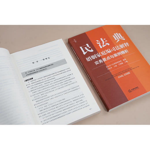 民法典婚姻家庭编司法解释实务要点与案例精析 北京市兰台律师事务所编著 李显冬 王丽 王慧婕主编 法律出版社 商品图2
