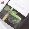 【书籍】广东省博物馆藏品大系 动植物卷 商品缩略图4