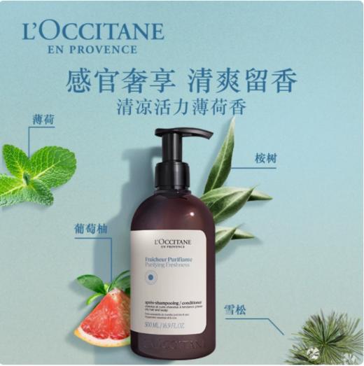 L’OCCITANE欧舒丹草本香菁纯纯净护发素 商品图0