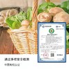 沈佳农有机蔬菜盲盒次卡/月卡/季卡（蔬菜品种不能挑选，只能备注忌口产品！）） 商品缩略图2