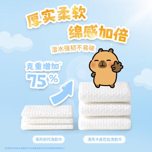 【官方自营】清风净润肌洗脸巾80抽3包卡皮巴拉小黄豚联名款 商品图3