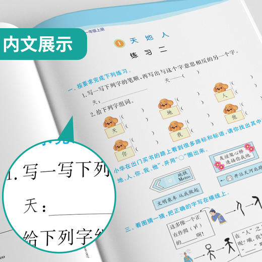 2025年秋 【五四制人教版】小学语文 1~5年级上册 1课3练 一二三四五年级 12345年级 商品图3