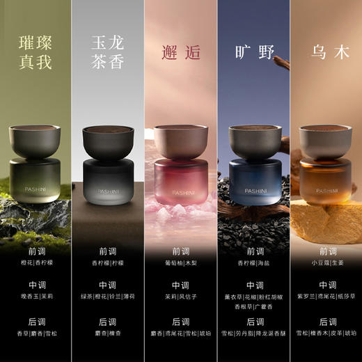 【帕世尼高端车载液体香薰】车用香水，车内香氛持久，淡香除异味。（两瓶装赠香挂，新老版随机发） 商品图5