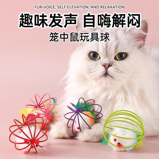猫玩具球幼猫老鼠自嗨解闷神器小猫猫的笼中鼠1个(颜色随机) 商品图1