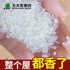 【中国农垦】北大荒生财有稻1kg 商品缩略图4