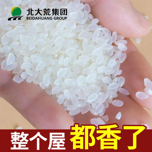 【中国农垦】北大荒生财有稻1kg 商品图4