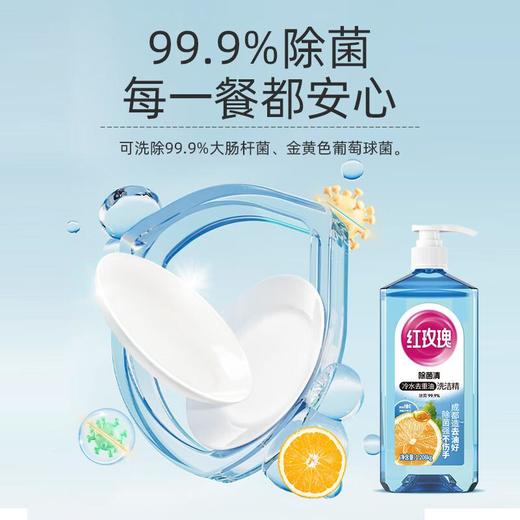 红玫瑰除菌清洗洁精1.208kg 商品图2