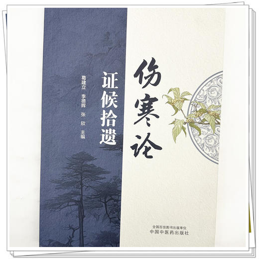 《伤寒论》证候拾遗 葛建立 李德辉 张欣 主编 中国中医药出版社 伤寒论 临床经验 书籍 商品图3