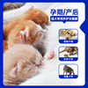 活力泰养护功能罐犬猫咪绝育术后恢复康复猫狗通用营养免疫湿粮罐头 商品缩略图2