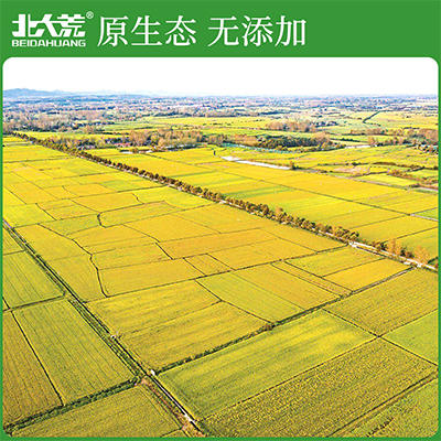 【中国农垦】北大荒优质东北米10kg 商品图1