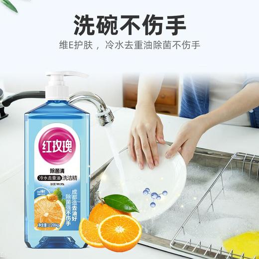 红玫瑰除菌清洗洁精1.208kg 商品图3